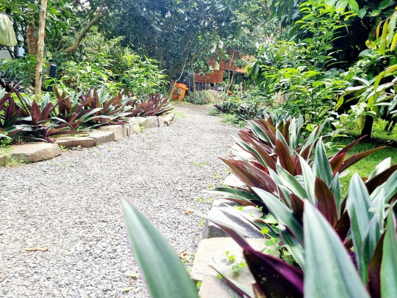Homestay Vuon Trai Cay Nhiet Doi Vo Uu Garden Бао Лок Екстериор снимка